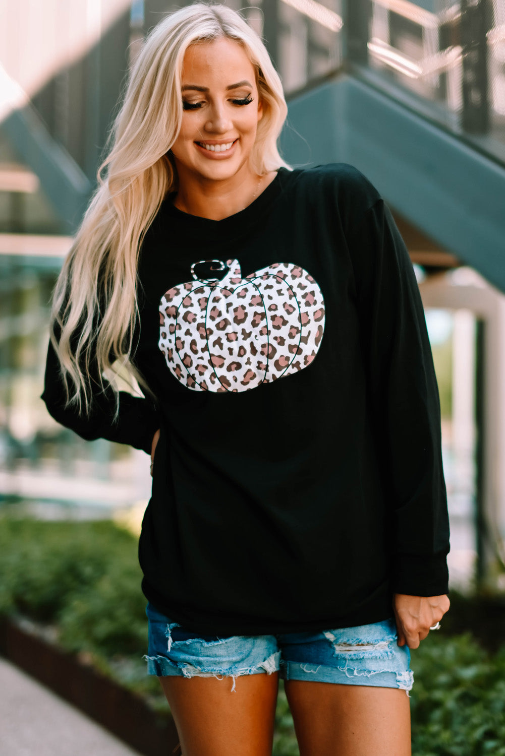 Halloween Animal Print Pumpkin Graphic Black Sweatshirt